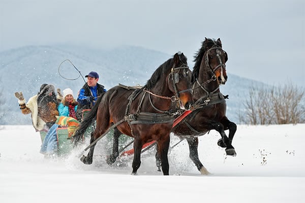 Park City Sleigh Rides | Midway Adventure Company